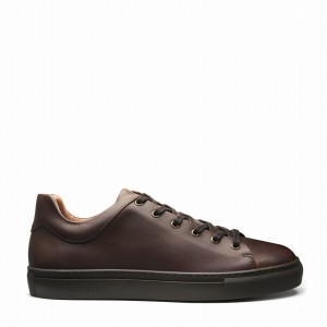 Men Solovair Gaucho Crazy Horse Sneakers Brown | S6-SNE-CH-BNS-030