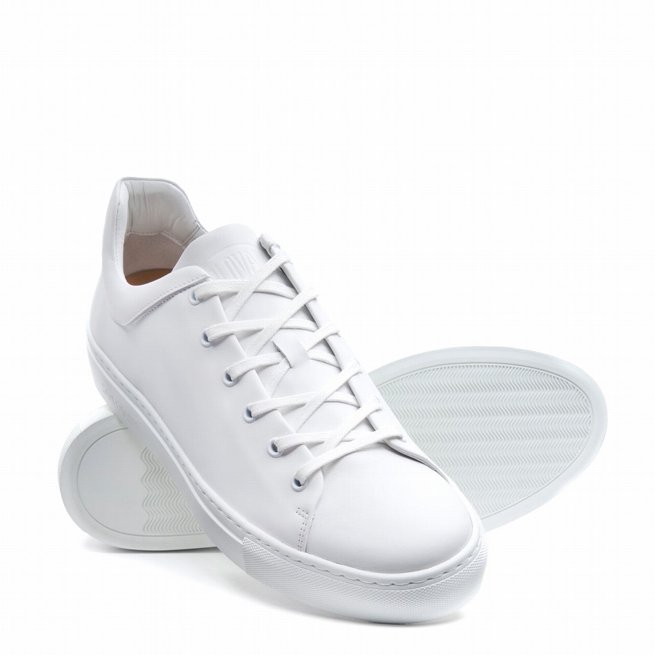 Men Solovair Calf Sneakers White | S6-SNE-WH-WS-040