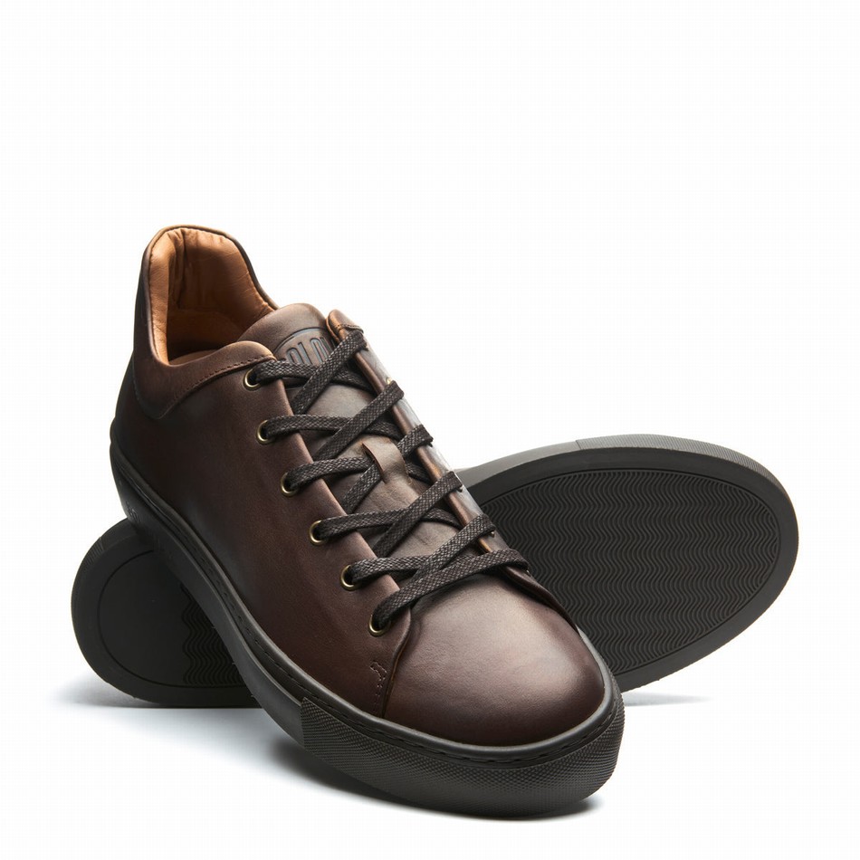 Men Solovair Gaucho Crazy Horse Sneakers Brown | S6-SNE-CH-BNS-030
