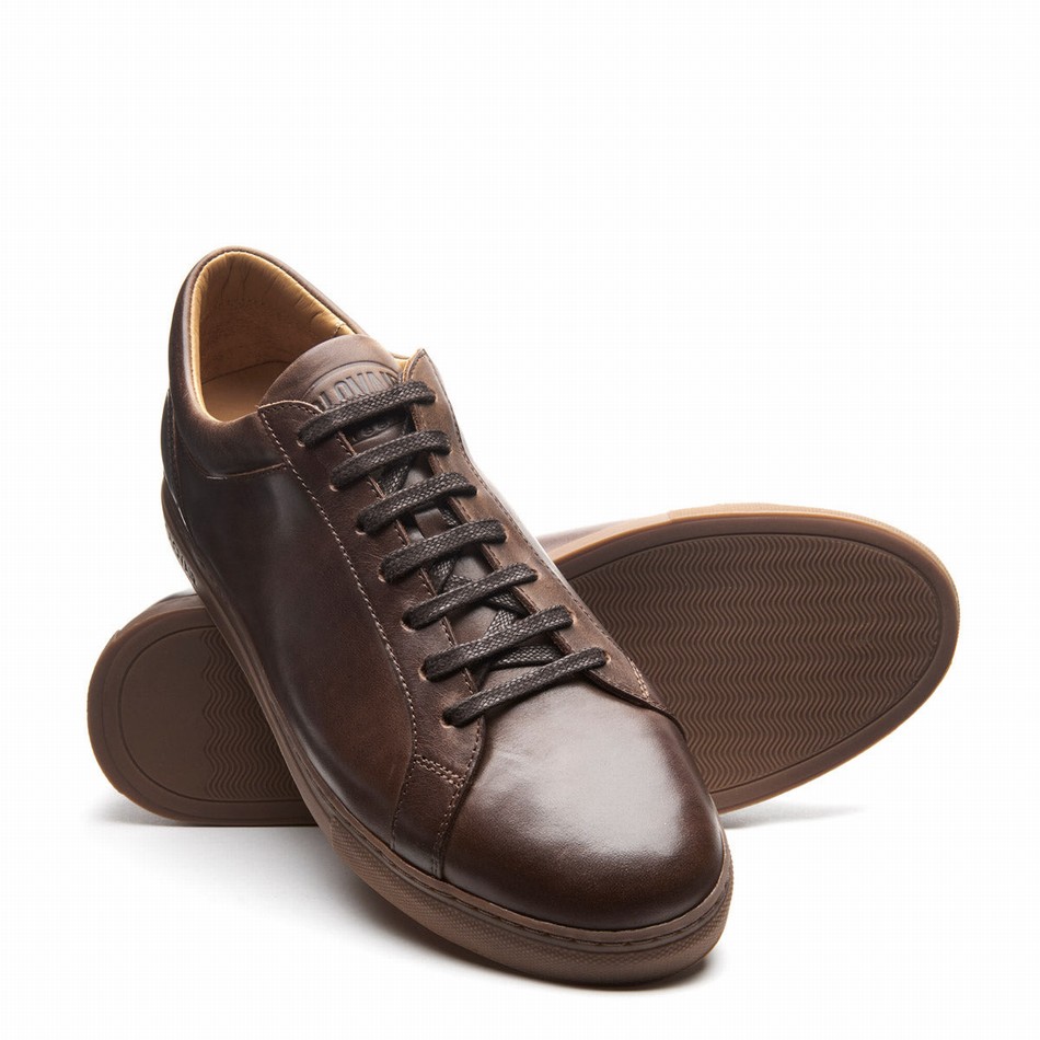 Women Solovair Gaucho Crazy Horse 070 Sneakers Brown | S7-070-CH-B-030